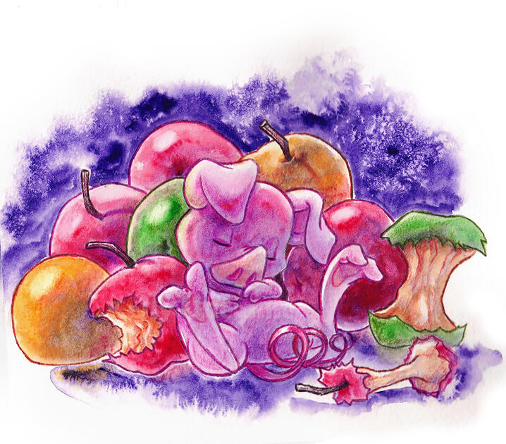 Tiggy's Illustration - Watercolors